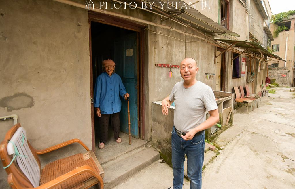 哈儿传奇全集下载，经典故事魅力探寻之旅