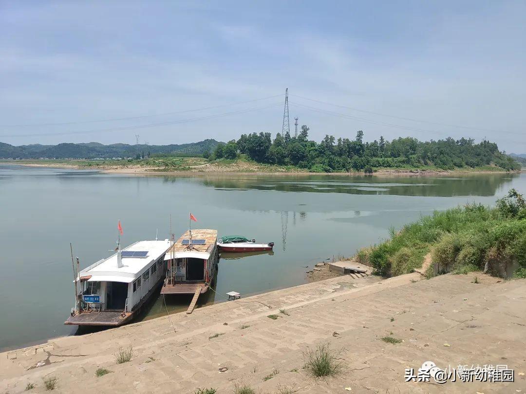 叶子牌下载，探索与体验之旅