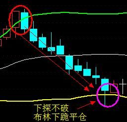 布林线下载的深度解析及实际应用探讨