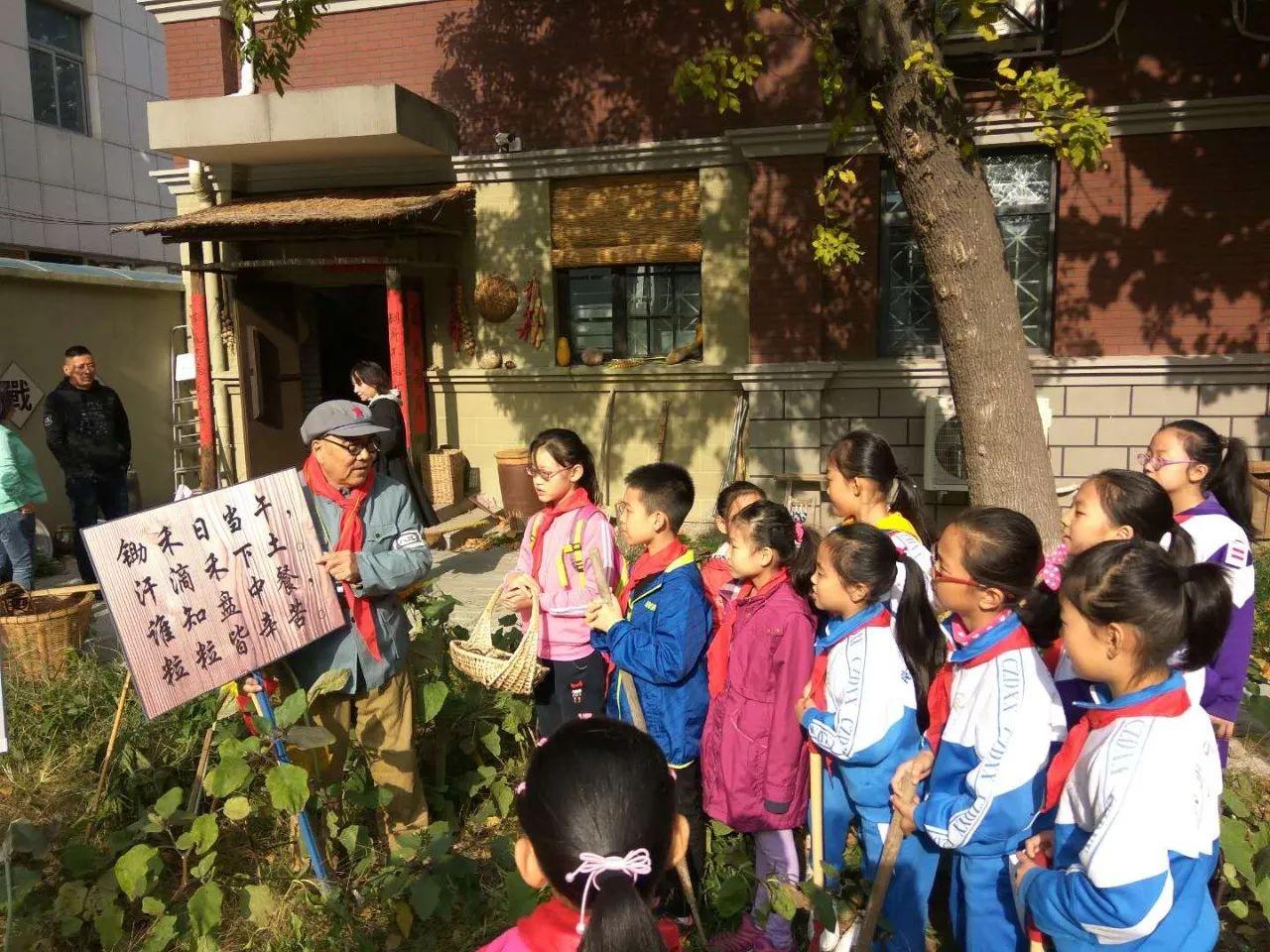 倪的菜下载，美食探索之旅的新起点