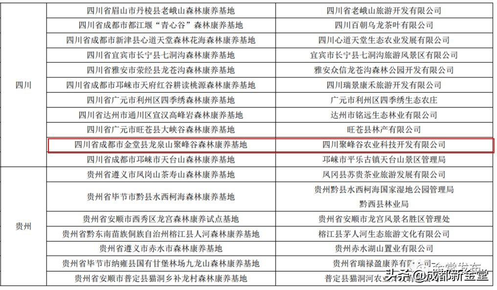 问政金堂最新动态，县域治理现代化步伐加快