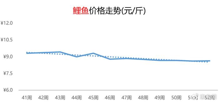 鲤鱼价格行情最新动态解析