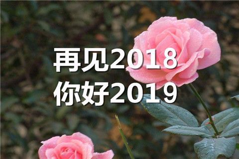 探索与思考，关于最新说说趋势的洞察（2019年）