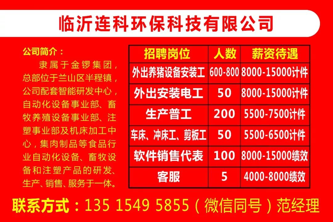 临沂招聘网最新招聘动态深度解读与分析