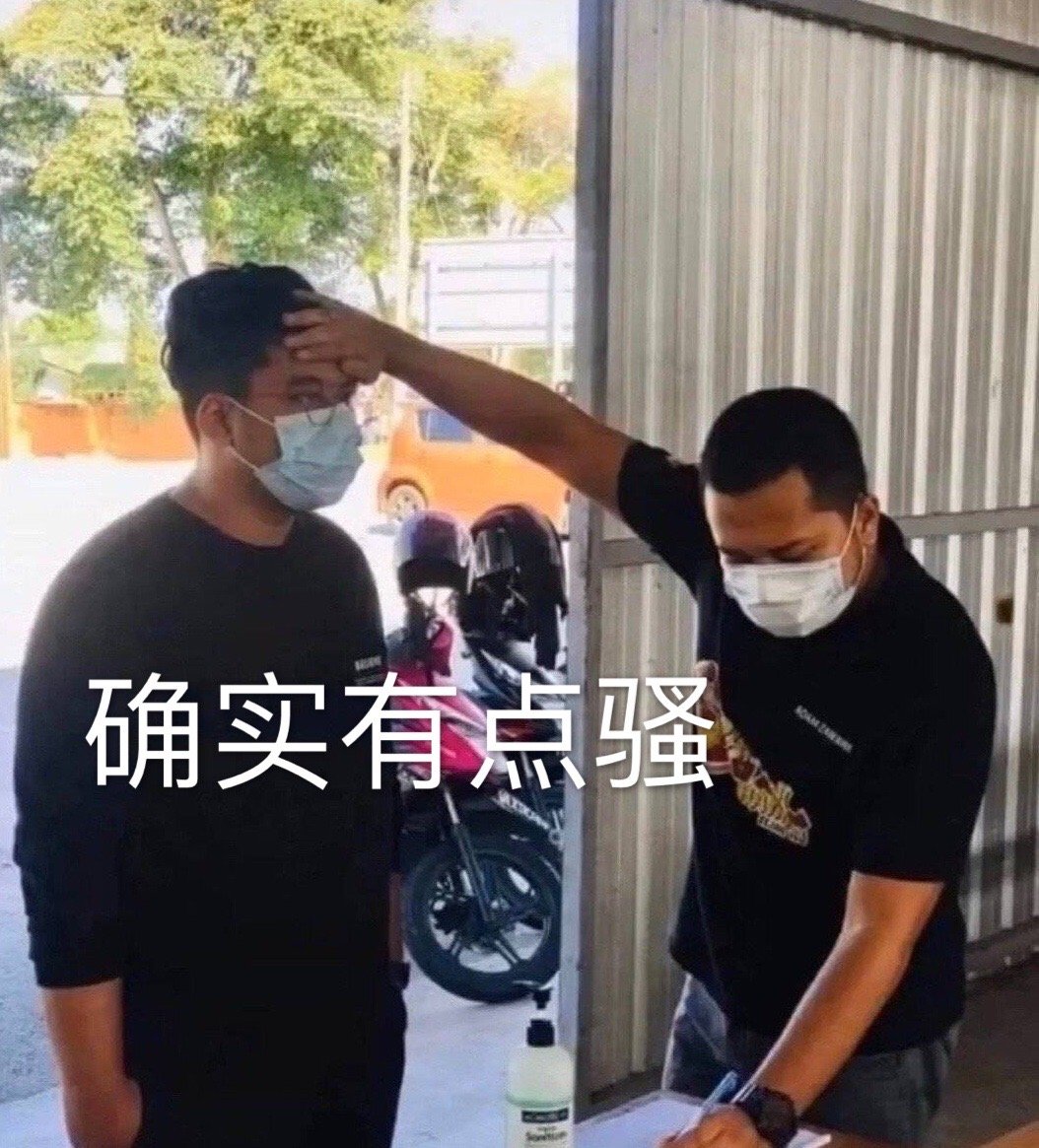 下载万骚骚，开启探索与体验之旅