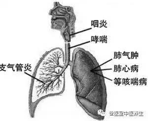 支气管扩张最新疗法的研究与应用进展