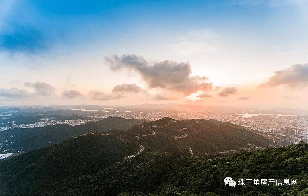 上海浦东野钓新地点探秘