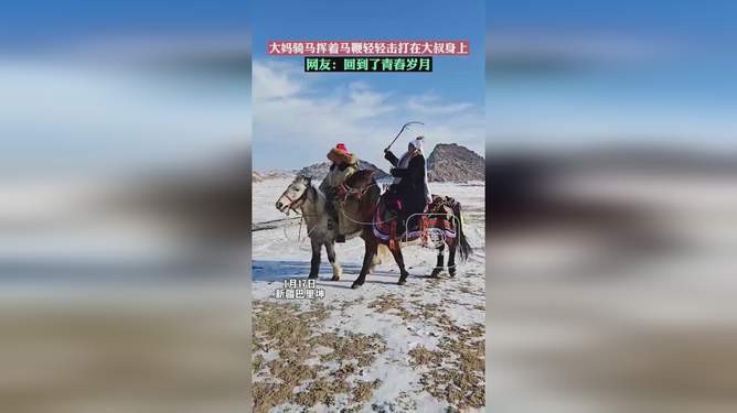 挥马鞭下载，探索与体验之旅