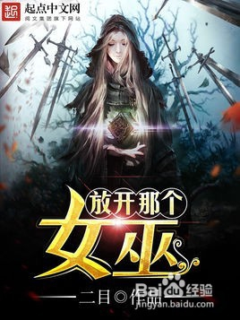 最新网络小说趋势解析与热门作品概览（2017年）