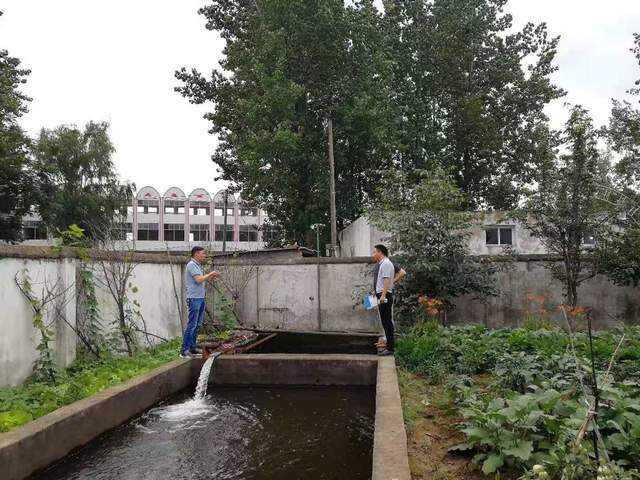 佛阁寺镇最新项目——地区发展的强大引擎驱动力