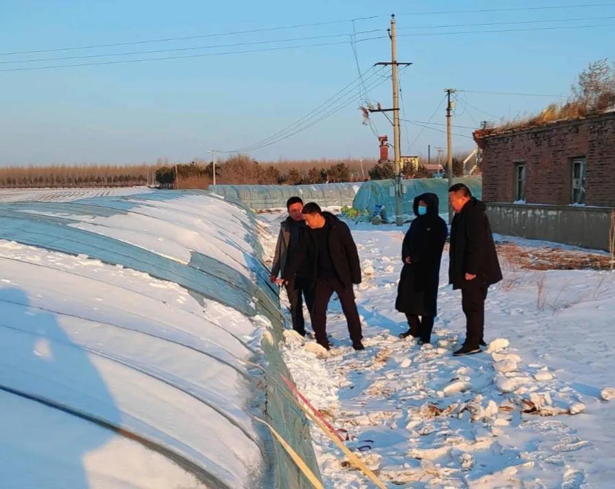 黑龙江省大山种羊场最新动态报道