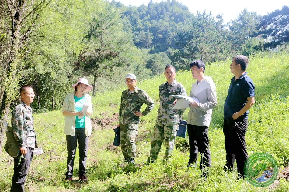 秦家梁林场最新新闻发布