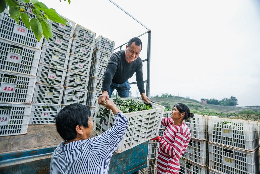 永丰滩乡最新新闻报道概览