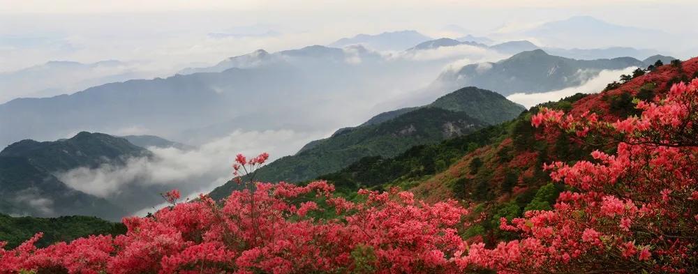 卡房乡最新招聘信息概览