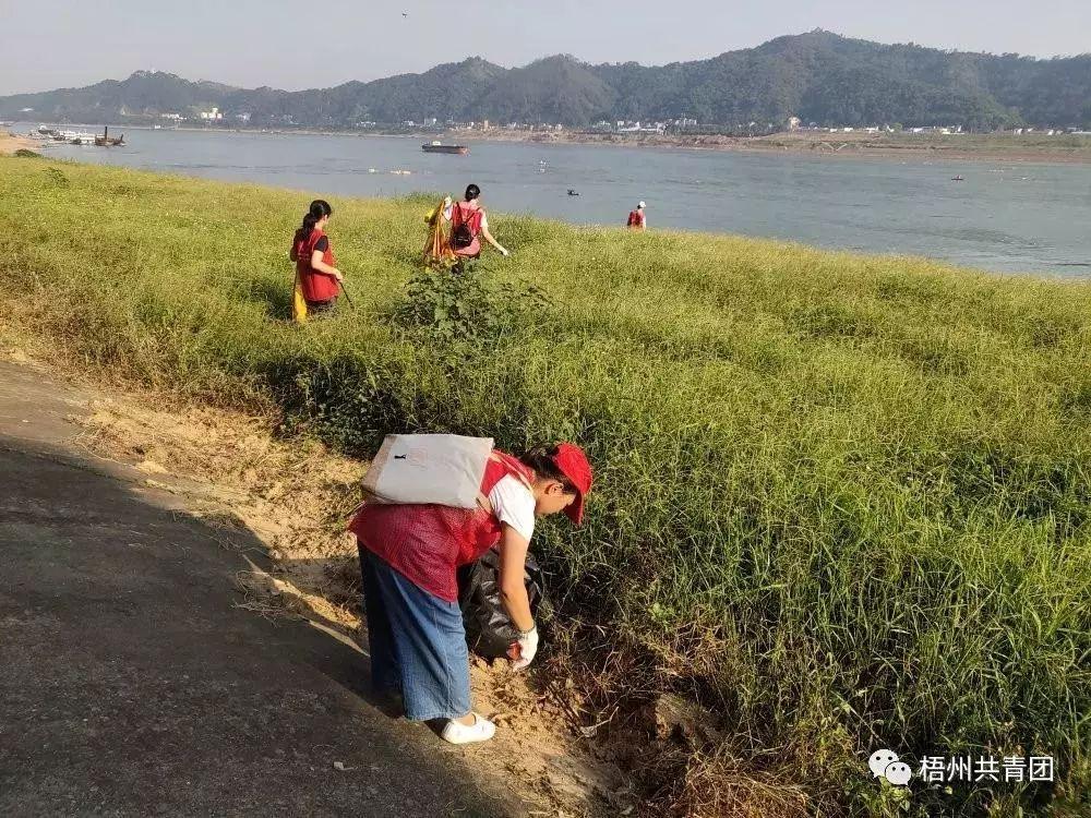 梧州市水利局最新招聘信息详解，招聘概述与细节全知道