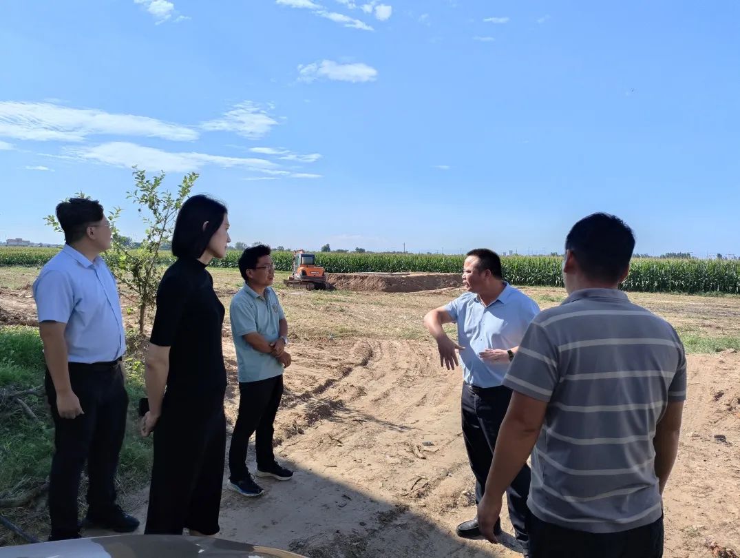 师寨镇最新项目，地区发展的强大引擎驱动力