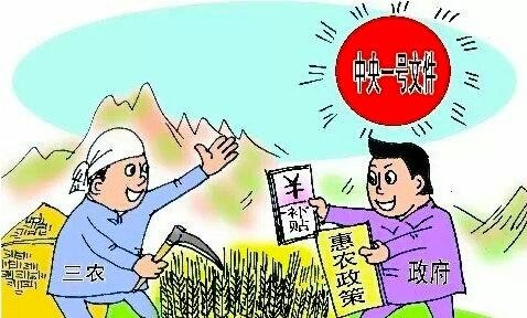 最新农民土地政策补贴，解读与支持农业发展的措施