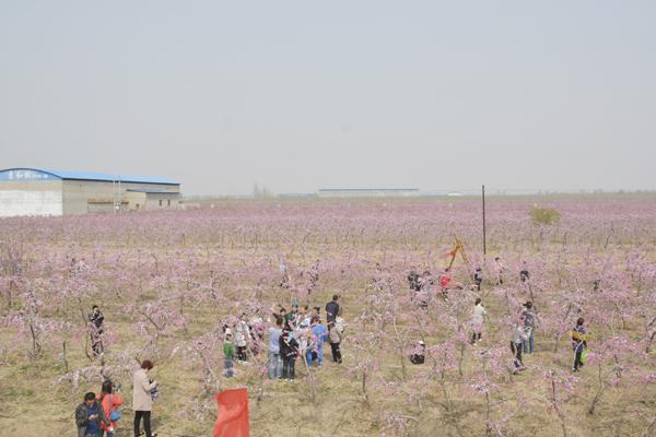 山西省万荣县汉薛镇最新发展规划展望